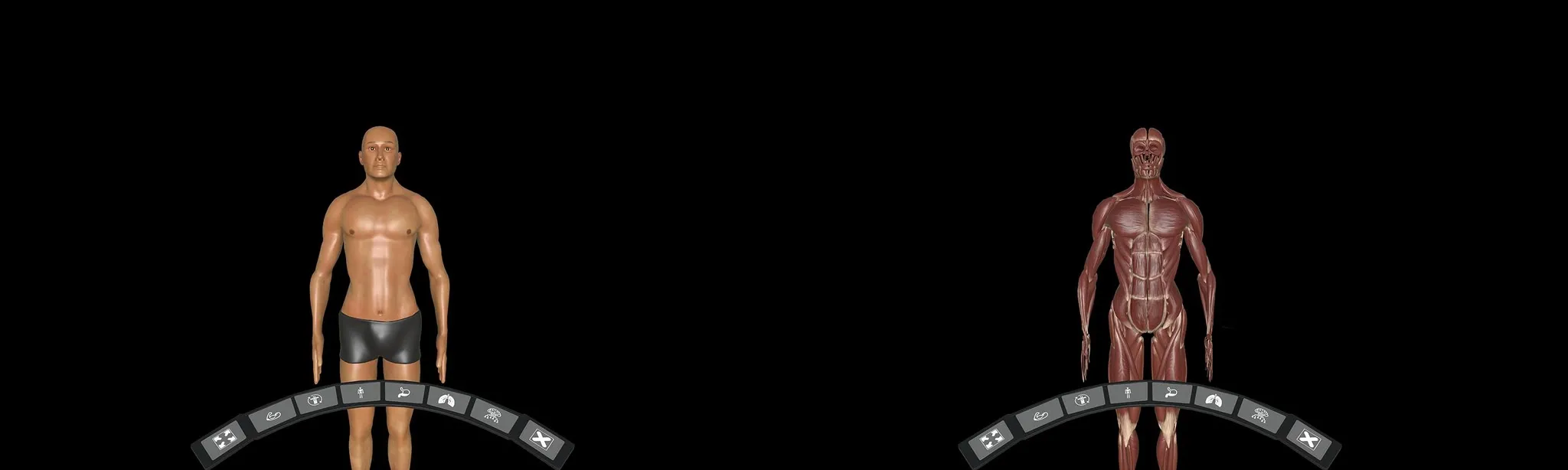 DeepAnatomy VR