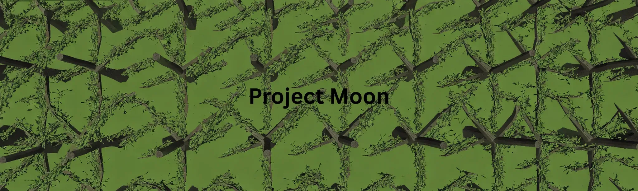 Project Moon