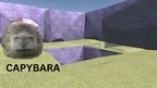 Capybara Space (DISCONTINUED) screenshot 4