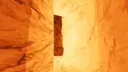 Scary Apers screenshot 0