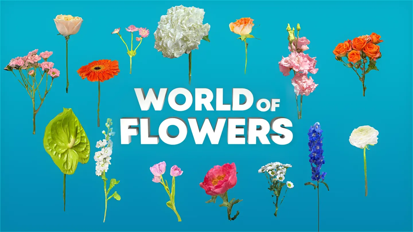 World of Flowers trailer 0