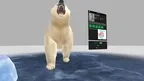 Animal Kingdom screenshot 1