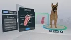 Veterinary Anatomy and Physiology screenshot 2