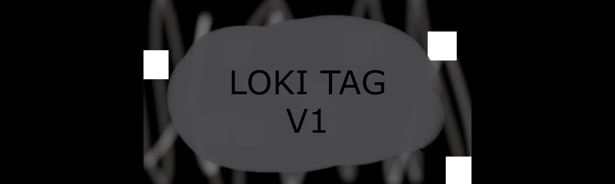 LokiTag