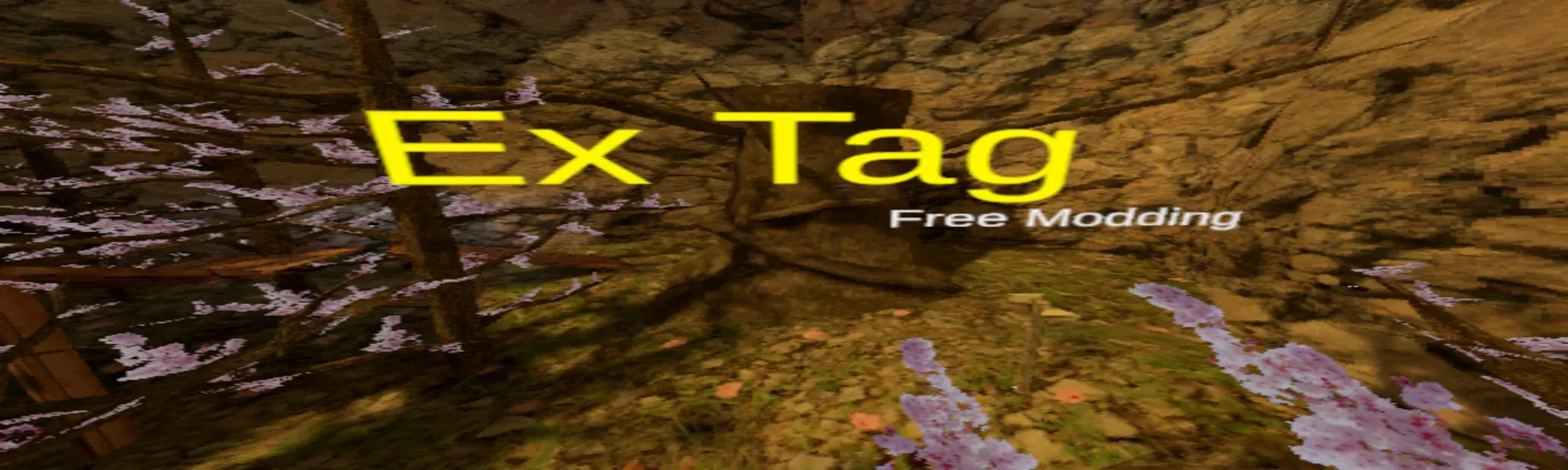 Ex Tag