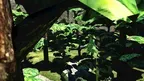 Roo Runners: Reborn screenshot 2