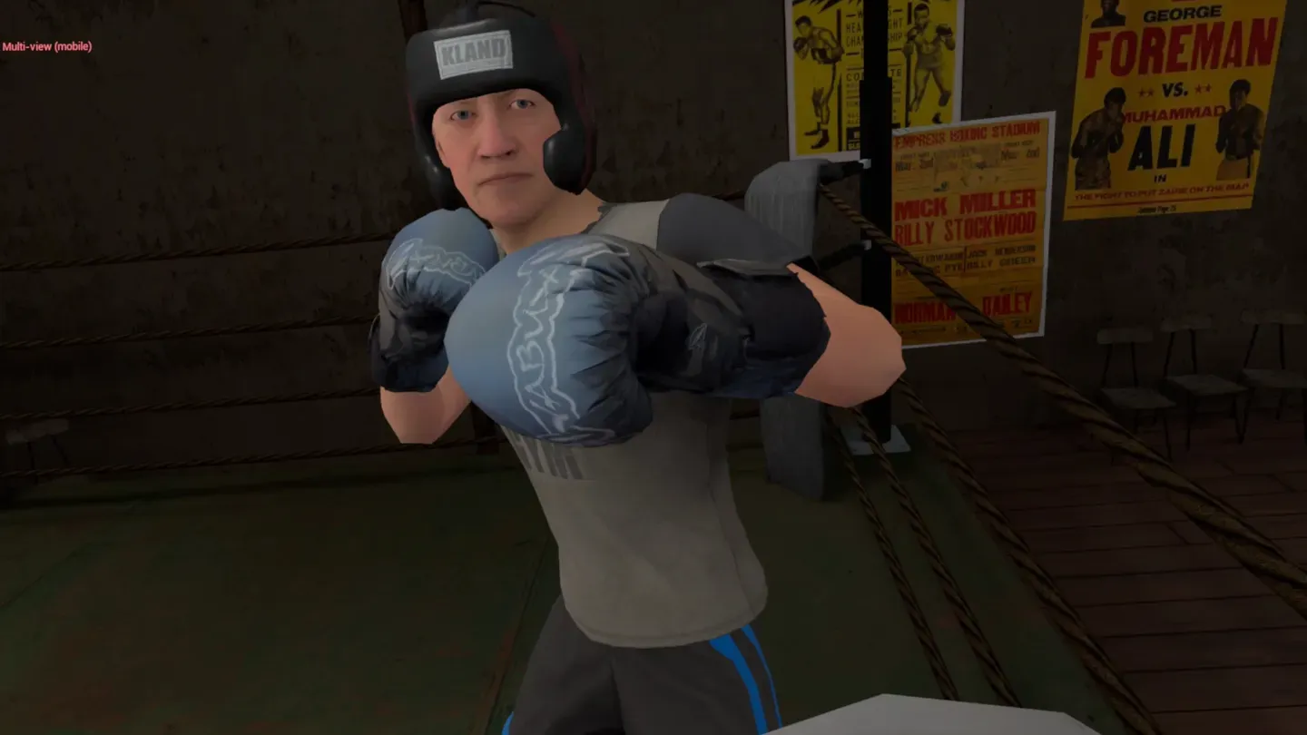 True Boxing VR trailer 0