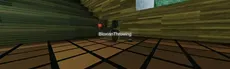 BloxianThrowing hero image