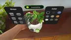 Chloro - Houseplant Care Tool screenshot 1