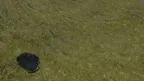 Cave Cats VR screenshot 2