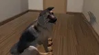 My puppy: Shepherd screenshot 2