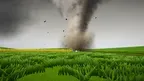 Hail screenshot 4
