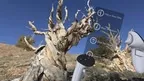 Blueplanet VR Explore v2.5 screenshot 3
