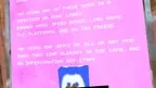 Wild Tag screenshot 2