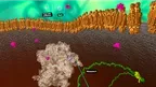 10k Science screenshot 5