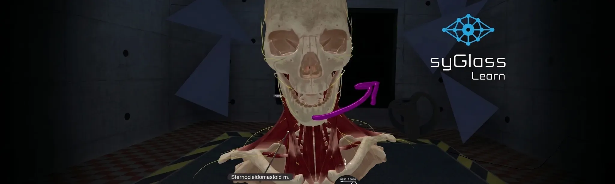 syGlass Learn