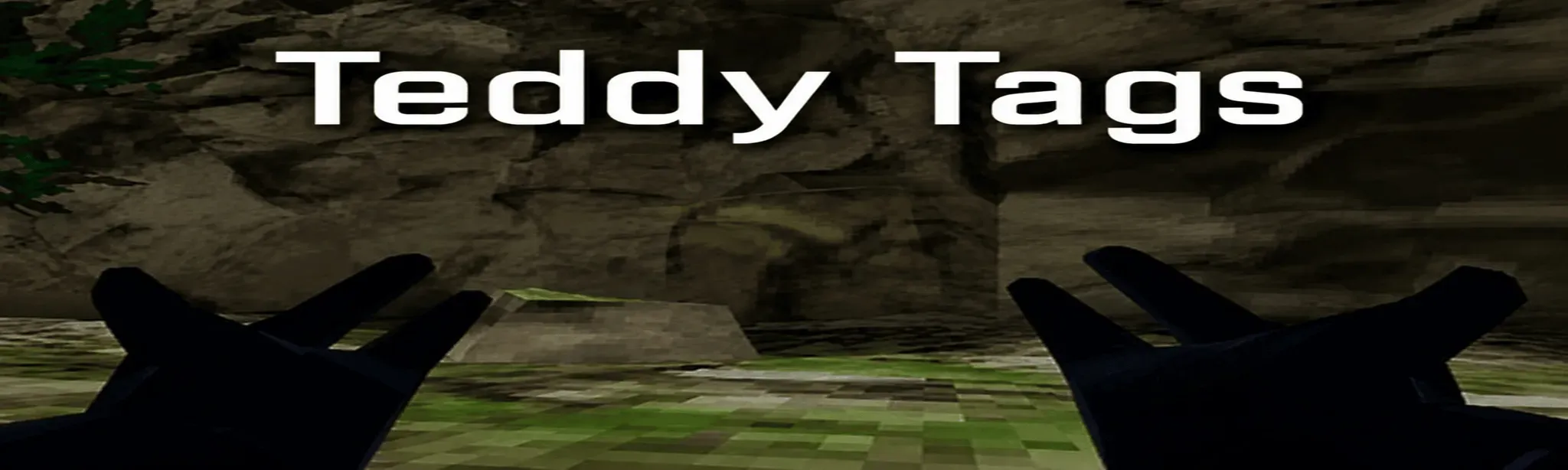 Teddy Tags