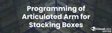 Programming of an articulated arm for stacking boxes hero image