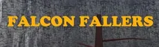 Falcon Fallers hero image