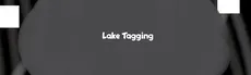 Lake Tagging hero image