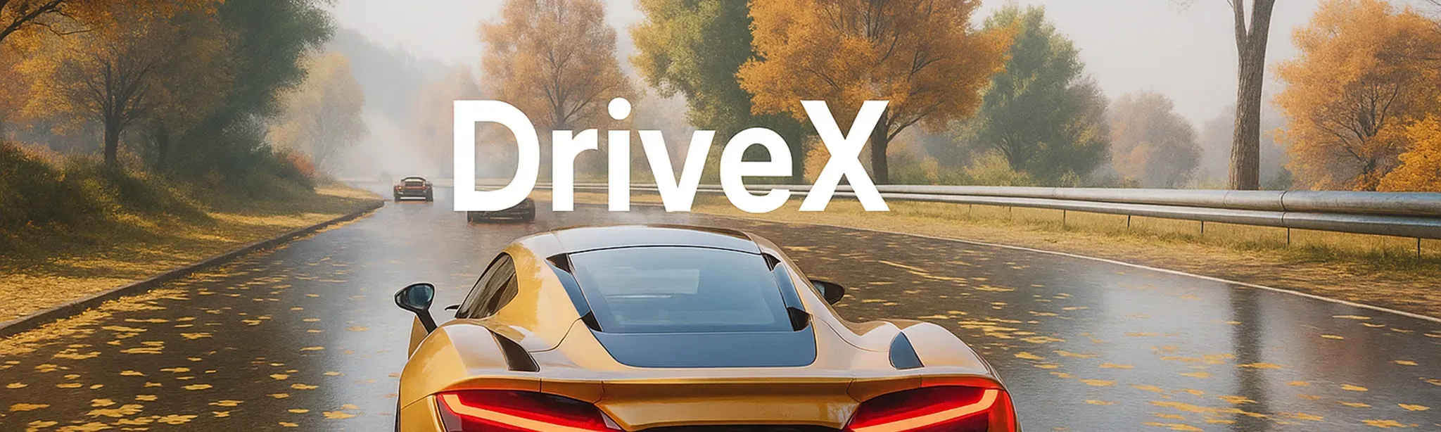 DriveX