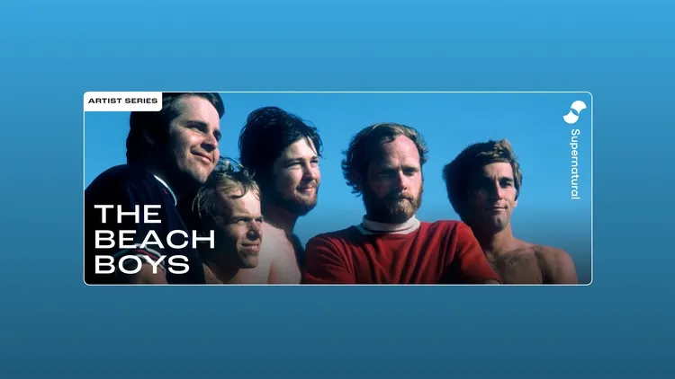 Developer update image for Work out with The Beach Boys