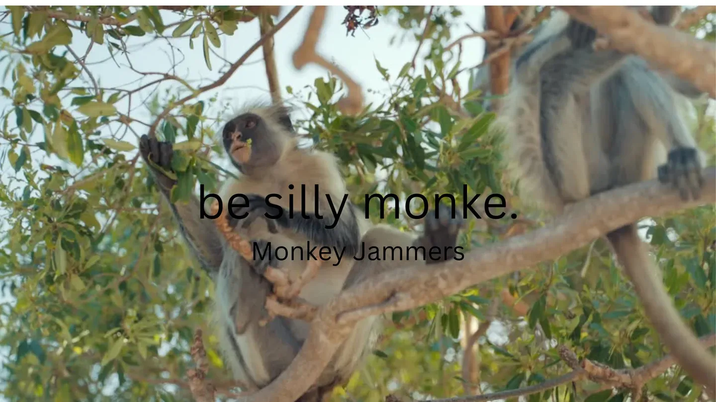 Monkey Jammers! cover image