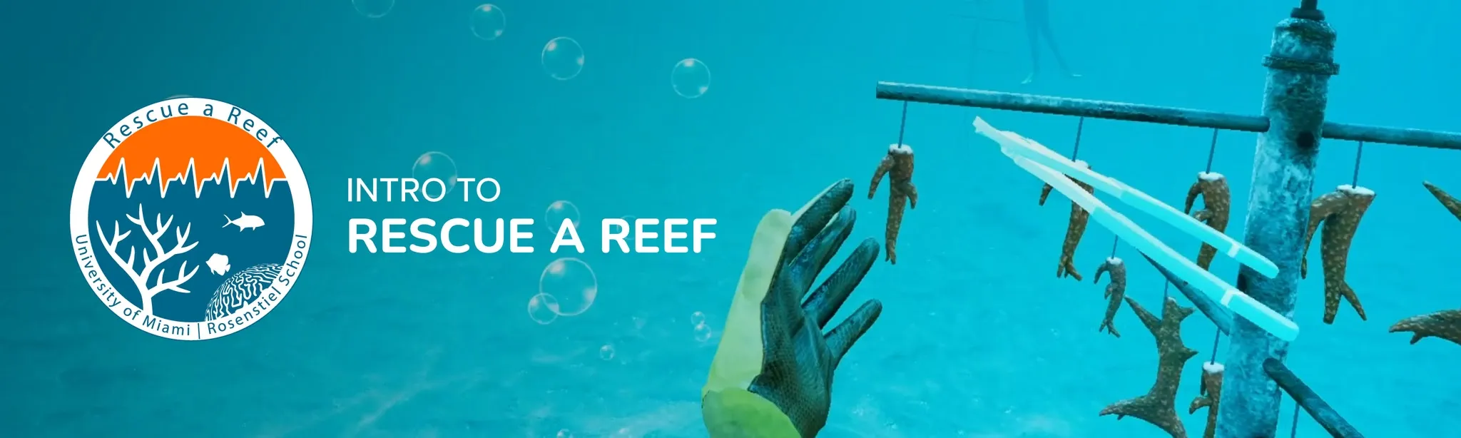 How to Rescue a Reef 