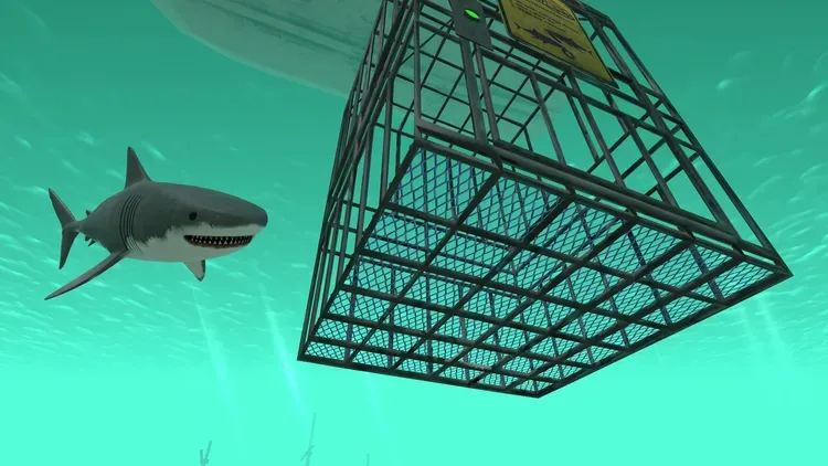Developer update image for Going Up 🦈⬆️