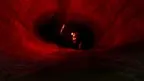 Kong screenshot 2
