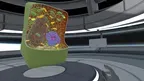 Cellular Safari screenshot 0