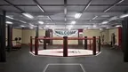 MMA Cage Conquest screenshot 4