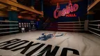 Fight Thrill: Rise to Glory – VR Boxing screenshot 5