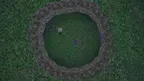 OLD GAME screenshot 4