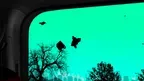 VR Dubai Falcons screenshot 5