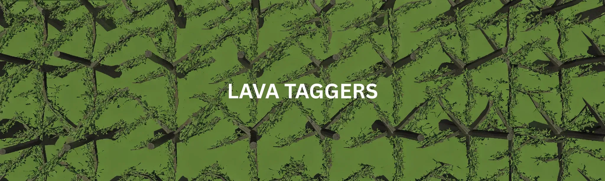Lava Taggers