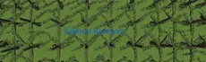 Tutorial Runners hero image