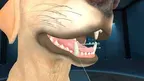 Animal Anatomy XR screenshot 3