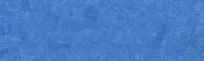 BlueBerry Bouncers hero image