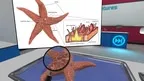 Dissection Simulator: Invertebrate Edition screenshot 3