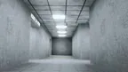 Lethal Ape Old screenshot 1