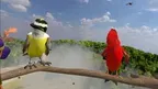 Birdwatching in El Reino Alado screenshot 1