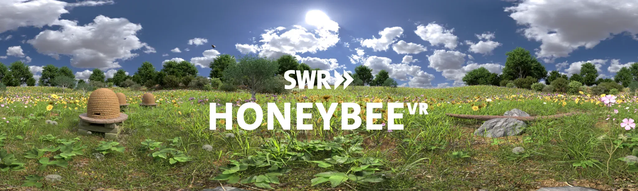 Honeybee VR