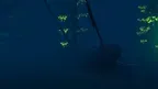 Underwater Swimming Experience screenshot 4