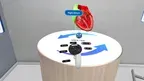 Anatomy Learning Labs: Cardio Lab screenshot 3