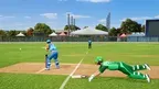 Cricket Championship VR screenshot 4