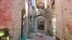 3D scan of a ruin in a forest screenshot 4