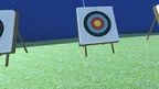 ModernArcheryVR screenshot 5