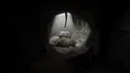 Silent Gorillas screenshot 4