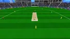 Real VR Cricket Game screenshot 5